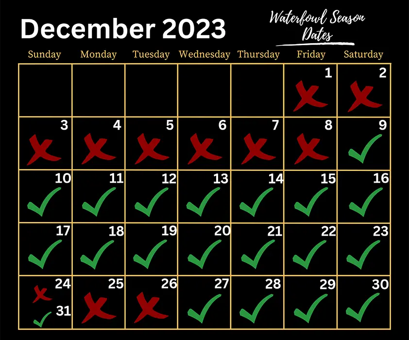 Arkansas Duck Hunting Guides Waterfowl Outfitters